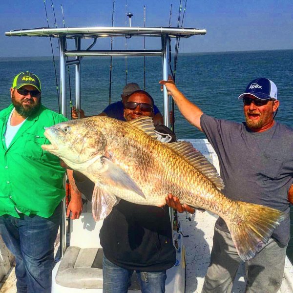 Galveston Fishing Report