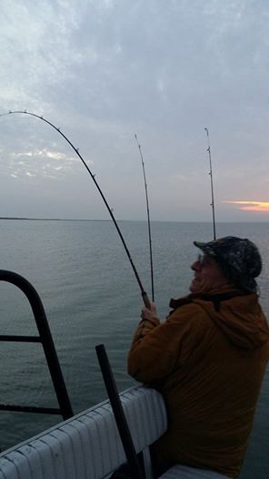 Galveston fishing report December 2014