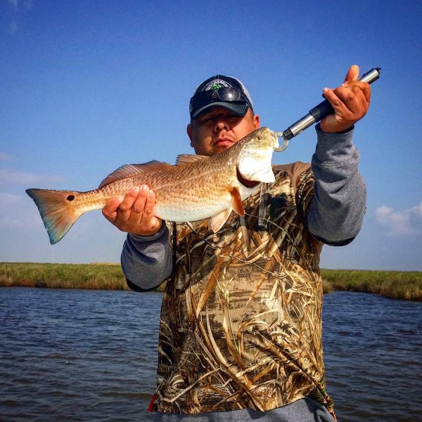Galveston Redfish