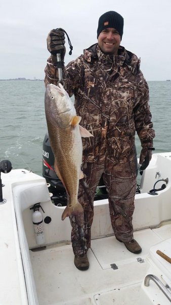 Galveston redfish