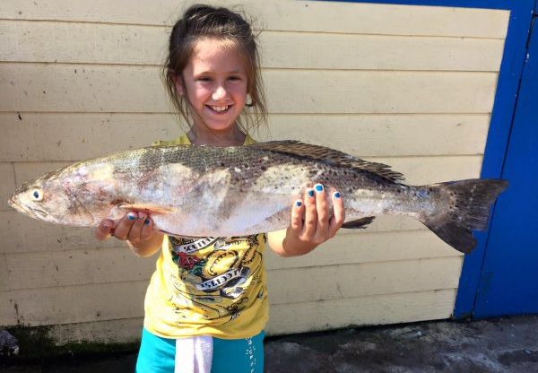 Galveston Fishing Report – August Summer Fishing