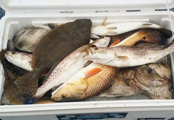 December Galveston Fishing Report