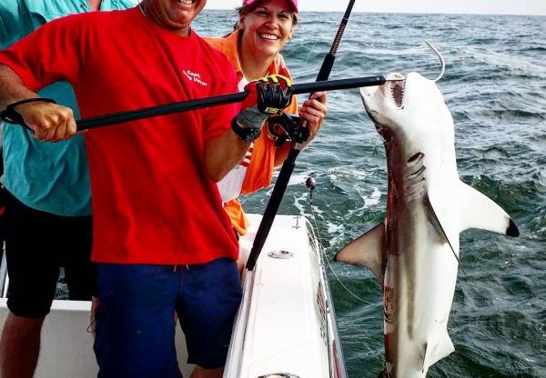 Fishing Report for Galveston – Sharks & Summer Fishing