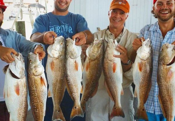 Galveston Fishing Report – Spring Fishing