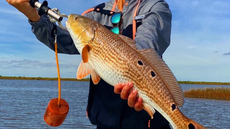 Galveston Fishing Reports – November Fishing on The Texas Gulf Coast