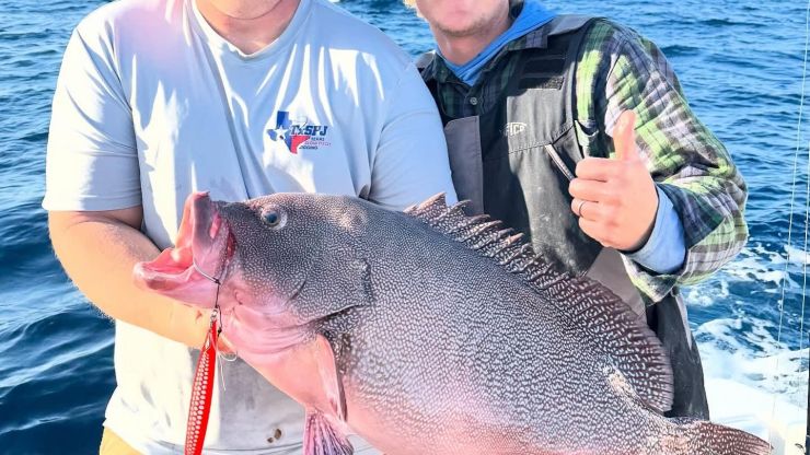 Galveston Fishing Report – Spring Specks, Deep Sea & More